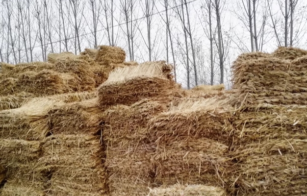 宁夏成人免费看片厂家 宁夏成人免费看片厂家