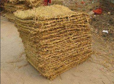 宁夏成人免费看片 宁夏成人免费看片