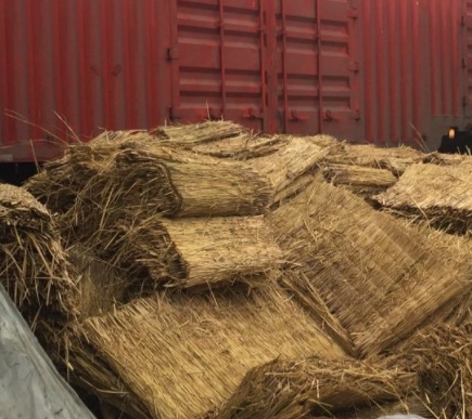 宁夏91看片在线下载 宁夏91看片在线下载