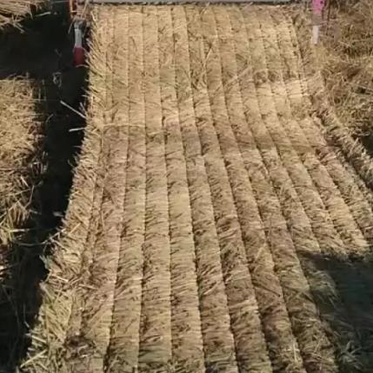 91看片在线下载 91看片在线下载