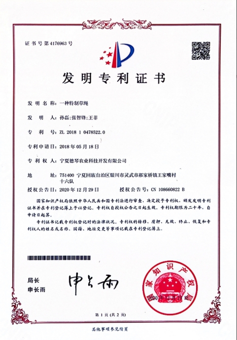 宁夏在线看片的网站 宁夏在线看片的网站