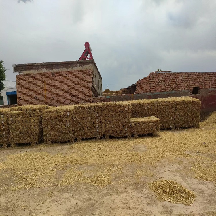 宁夏91看片在线下载子