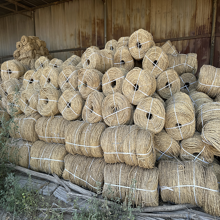 宁夏在线看片的网站 宁夏在线看片的网站