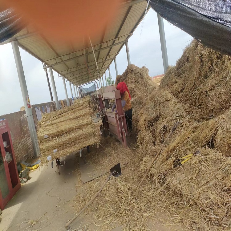 宁夏91看片在线下载 宁夏91看片在线下载