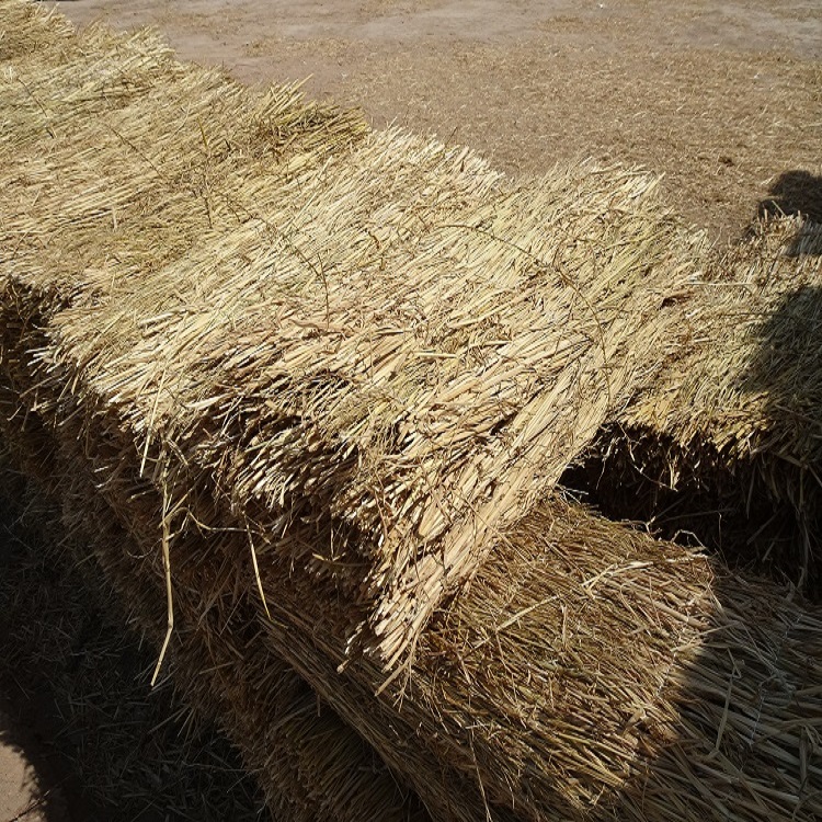 宁夏91看片在线下载厂家批发 宁夏91看片在线下载厂家批发