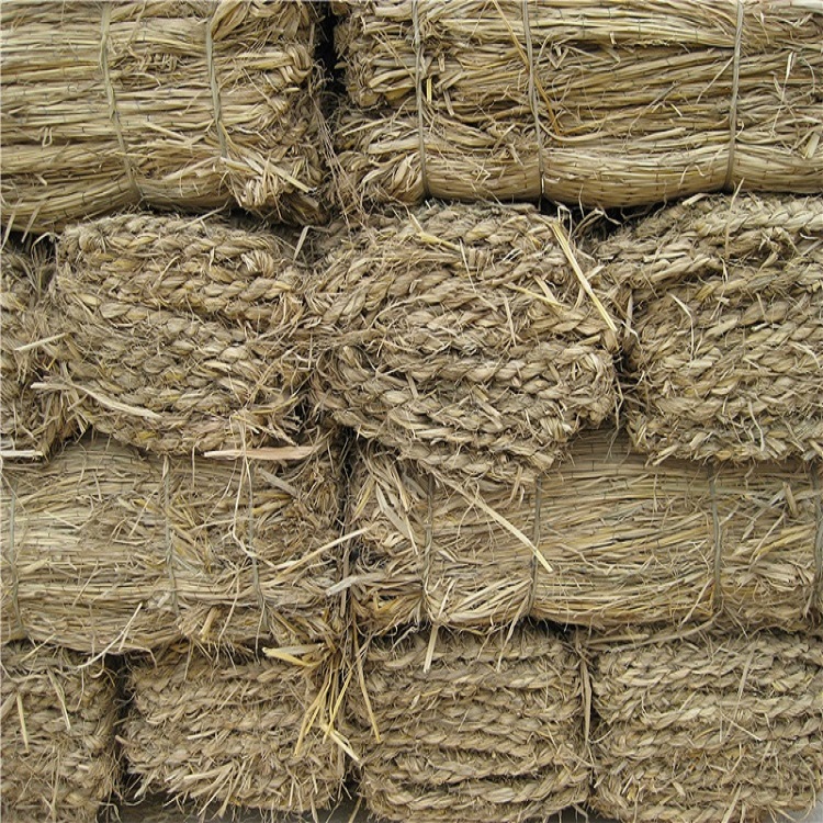 宁夏成人免费看片定制