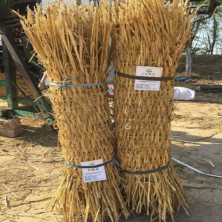 宁夏91看片在线下载子 宁夏91看片在线下载子