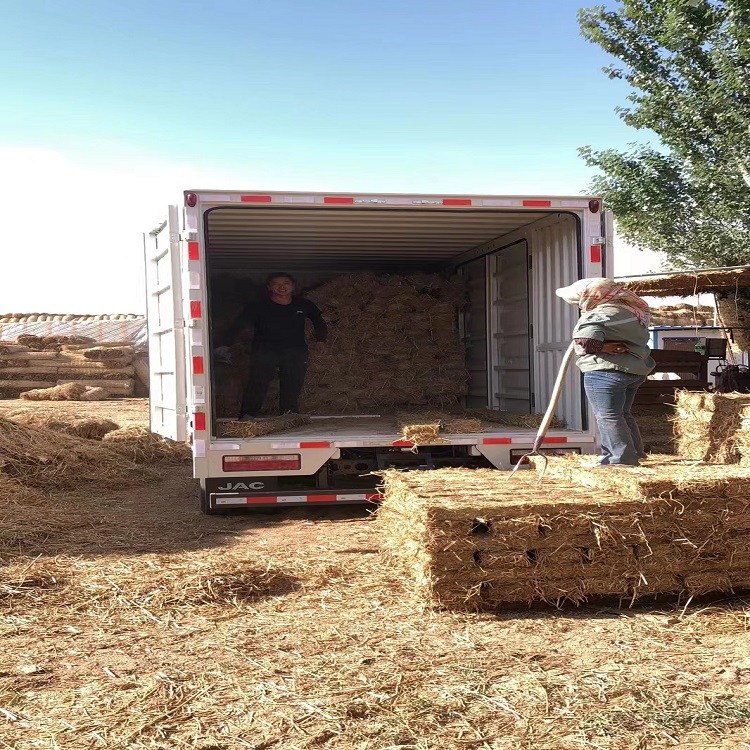 宁夏草支垫厂家 宁夏草支垫厂家